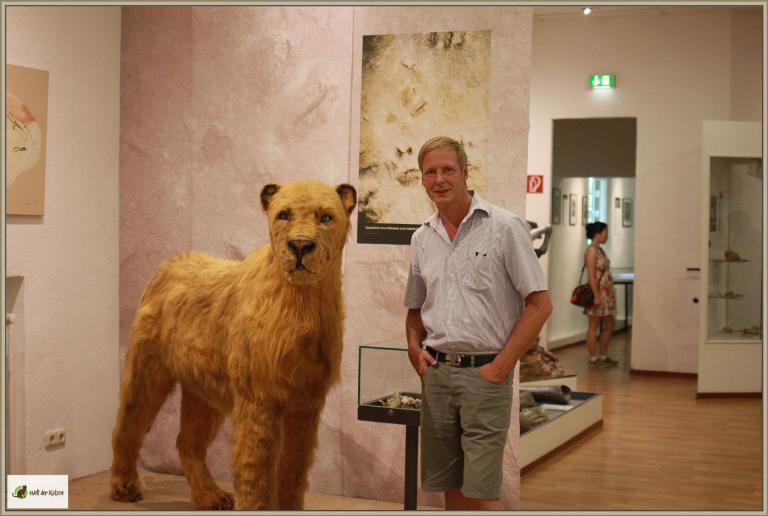 Ausgestorben: Der Höhlenlöwe