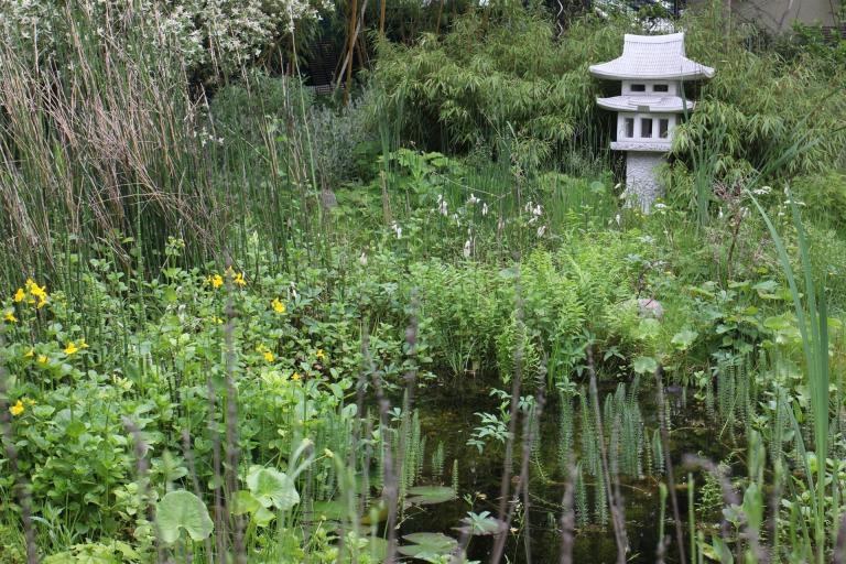 Freigehege für Katzen