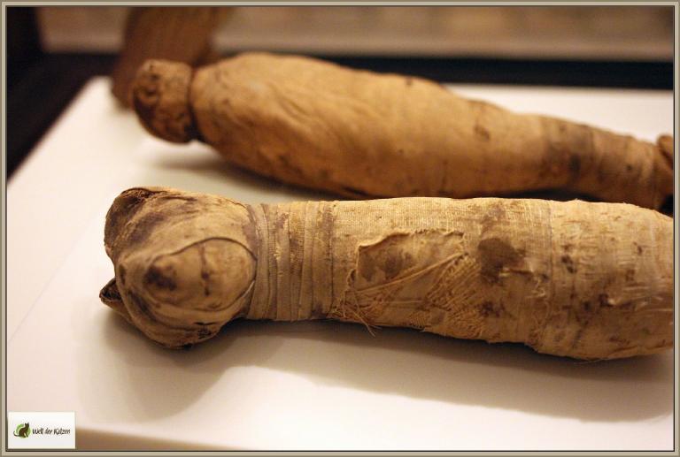 Katzen im Alten Ägypten