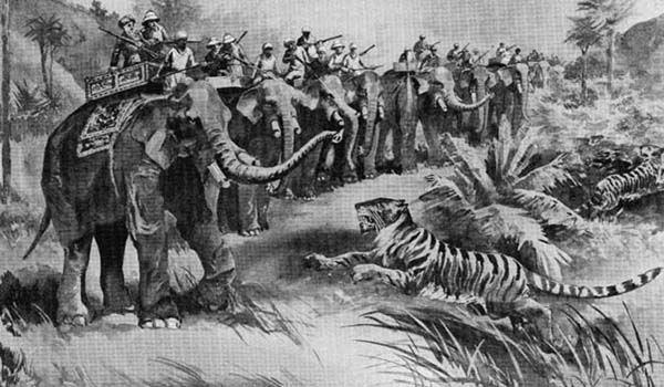 Tiger Hunting Party