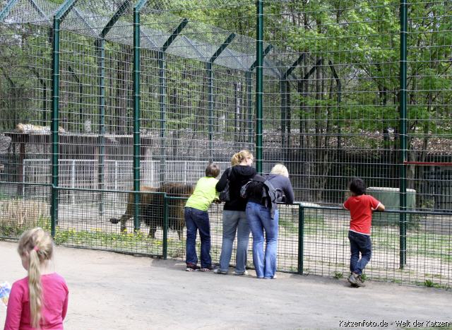 Filmtierpark Eschede