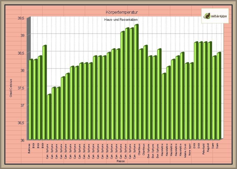 Abb. 7: Körpertemperatur aller untersuchter Katzen