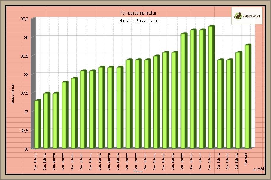 Abb. 8: Körpertemperatur aller Nacktkatzen